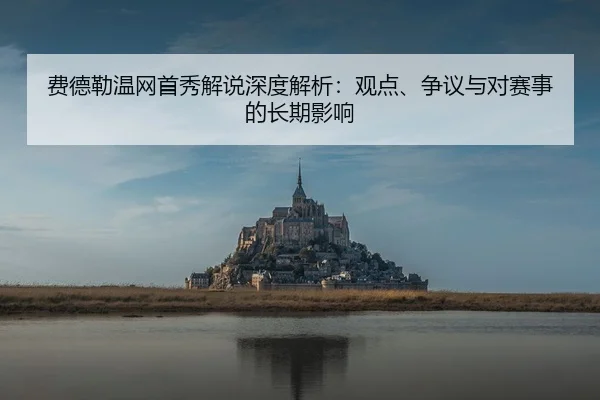 fei-de-lei-wen-wang-shou-xiu-jie-shuo-shen-du-jie-xi-guan-dian-zheng-yi-yu-dui-sai-shi-de-chang-qi-ying-xiang-2-202.jpg