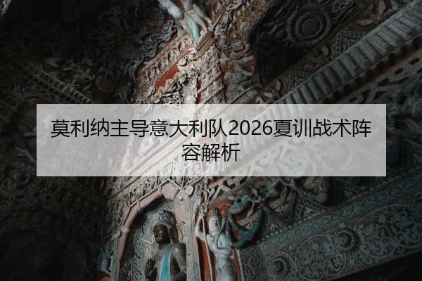 mo-li-na-zhu-dao-yi-da-li-dui-xia-xun-zhan-shu-zhen-rong-jie-xi-2-642.jpg