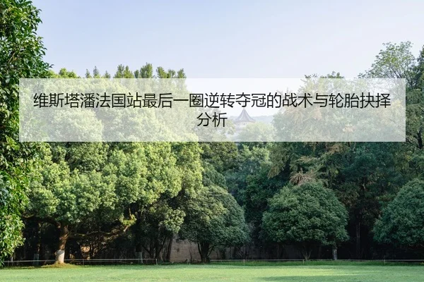 维斯塔潘法国站最后一圈逆转夺冠的战术与轮胎抉择分析
