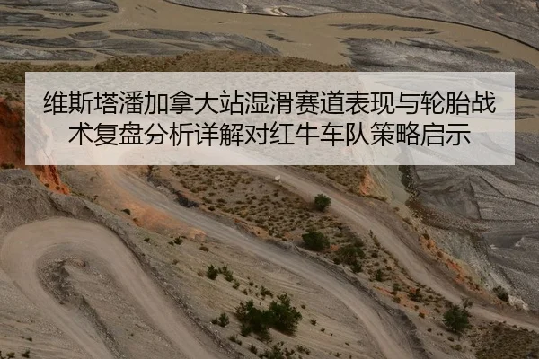 维斯塔潘加拿大站湿滑赛道表现与轮胎战术复盘分析详解对红牛车队策略启示